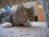dsc05637_small.jpg