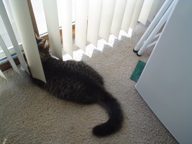 dsc05640.jpg