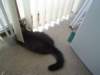 dsc05640_small.jpg