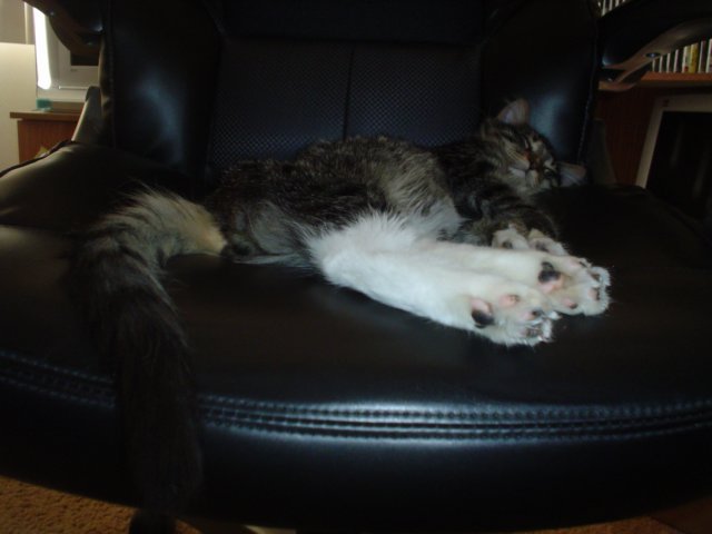 dsc05168.jpg