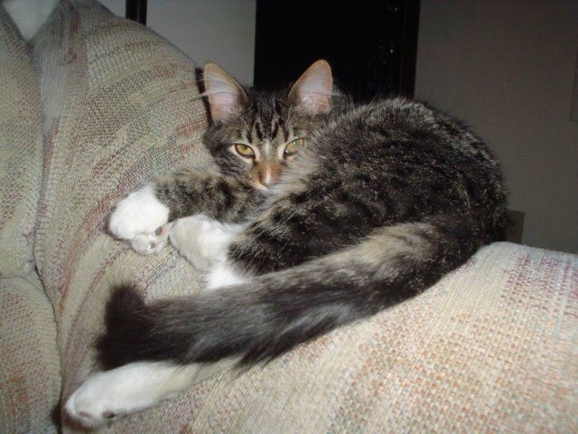 dsc05176.jpg