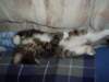 dsc05189_small.jpg