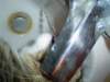 dsc08560_small.jpg