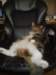 dsc08563_small.jpg