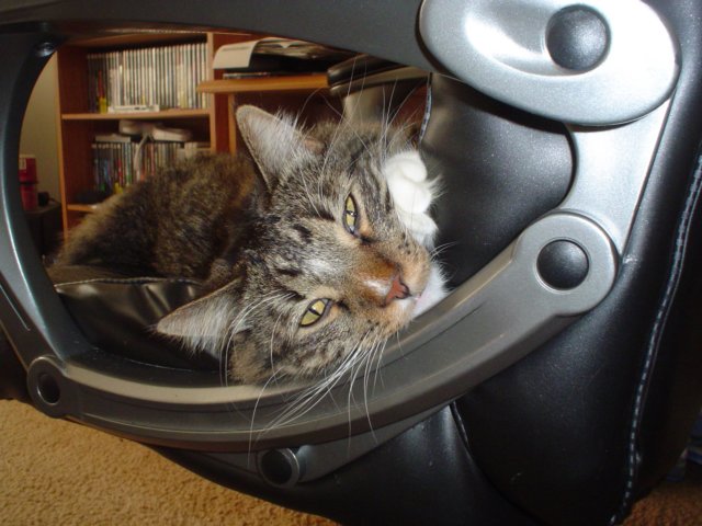 dsc08565.jpg