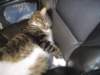 dsc08567_small.jpg
