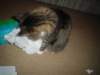 dsc08570_small.jpg