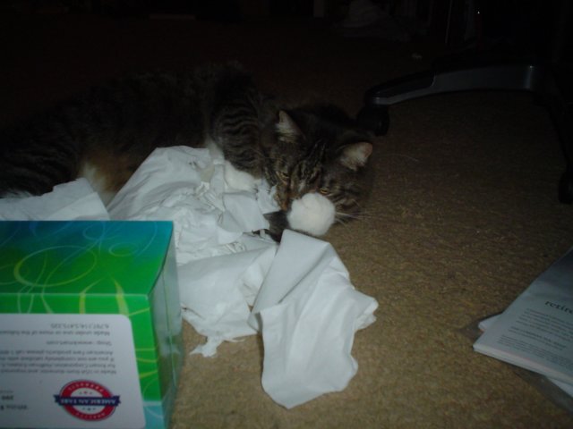 dsc08573.jpg