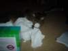 dsc08573_small.jpg