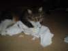 dsc08574_small.jpg