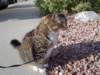 dsc08579_small.jpg