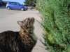 dsc08581_small.jpg
