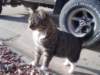 dsc08584_small.jpg