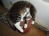 dsc08587_small.jpg