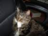 dsc08588_small.jpg