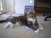 dsc08593_small.jpg