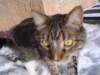 dsc08605_small.jpg