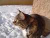 dsc08606_small.jpg