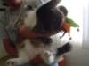 dsc08682_small.jpg