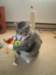 dsc08686_small.jpg