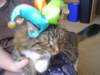dsc08689_small.jpg