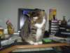dsc08699_small.jpg