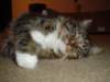 dsc08702_small.jpg