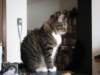 img_7426_small.jpg
