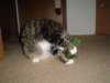 dsc05659_small.jpg
