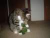 dsc05660_small.jpg