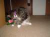 dsc05661_small.jpg