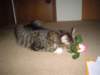 dsc05663_small.jpg