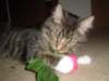 dsc05664_small.jpg