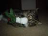 dsc05665_small.jpg