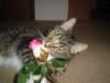 dsc05666_small.jpg