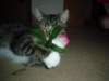 dsc05667_small.jpg