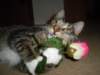 dsc05670_small.jpg