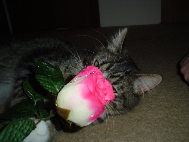 dsc05671.jpg