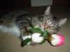 dsc05672_small.jpg
