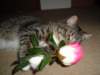 dsc05673_small.jpg