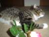 dsc05674_small.jpg
