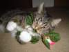 dsc05675_small.jpg