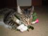 dsc05676_small.jpg