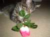 dsc05678_small.jpg