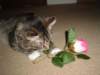 dsc05679_small.jpg