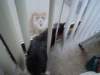 dsc05202_small.jpg