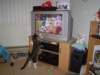 dsc05208_small.jpg