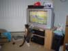 dsc05209_small.jpg