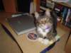 dsc05214_small.jpg