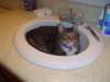 dsc05222_small.jpg